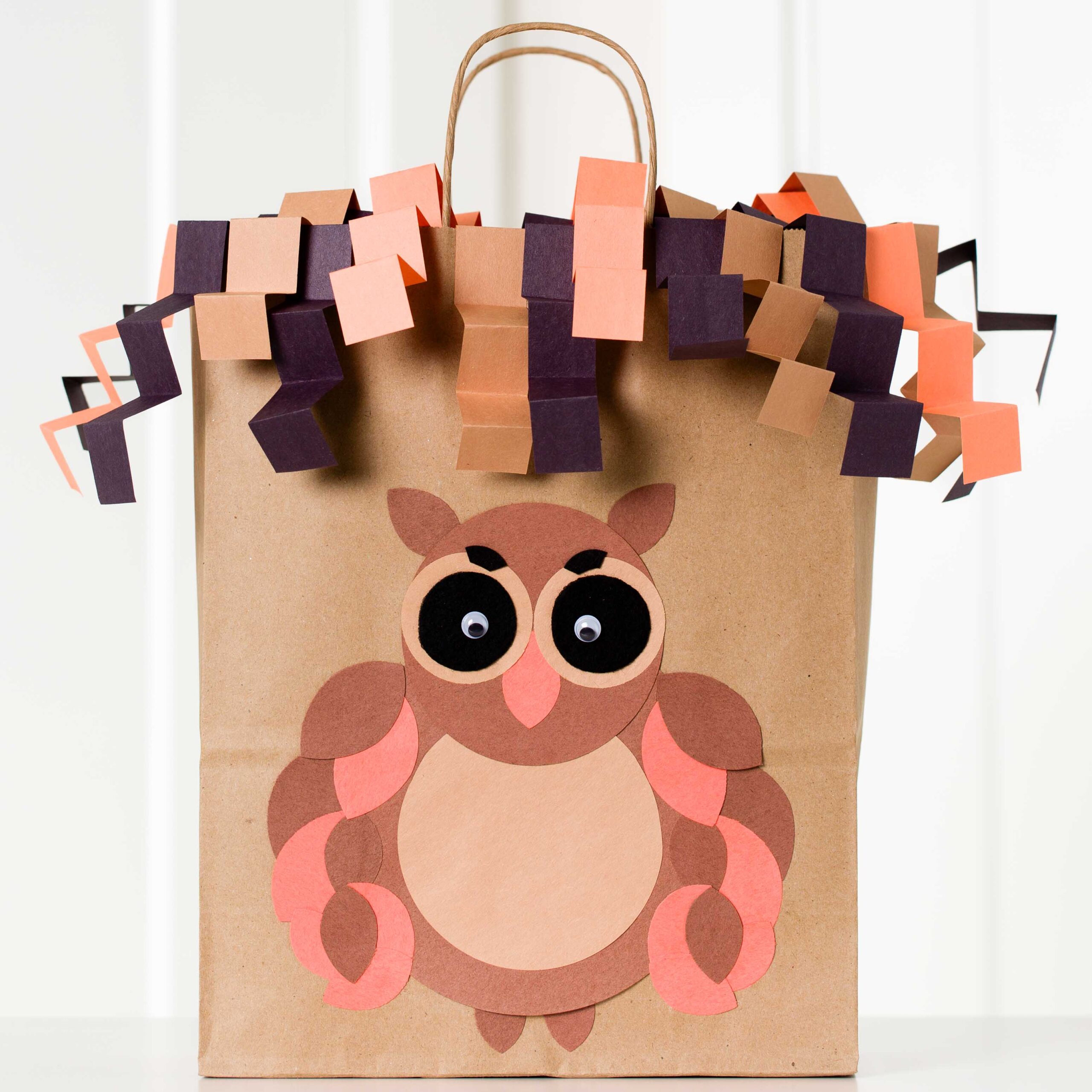 Owl gift bag.